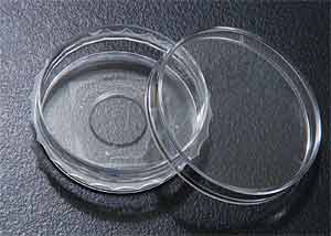 Petrischalen mit einem Boden aus Deckglas, Adhsions-Typ, D=35mm