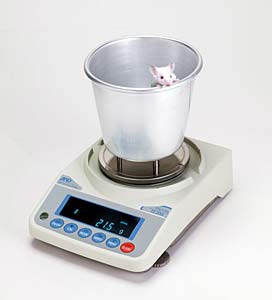 Tierwgebehlter nur fr 0.01g Modelle<br>Animal weighing pan (0.01 models only)<br>Laborbedarf,Przisionswaagen,Zubehr
