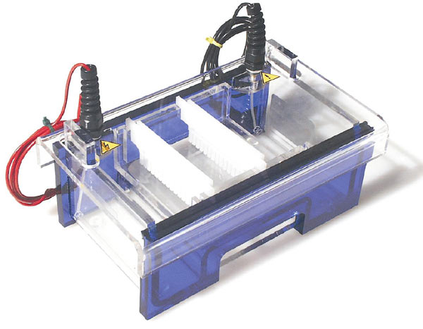 Elektrophoresekammern Mini horizontal Gelgr��e 8,2 x 10,5 cm oder 8,2 x 7,1 cm