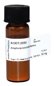 Amphotericin B BioChemica</p>Amphotericin B BioChemica</p>Laborbedarf,Antibiotika,Amphotericin B