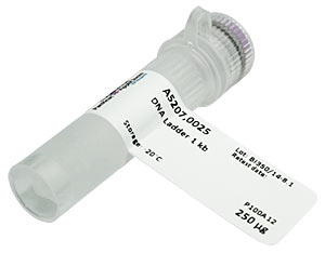 DNA Ladder 1 kb, 50g</p>DNA Ladder 1 kb</p>Laborbedarf,Molekularbiologie,DNA Ladder 1 kb