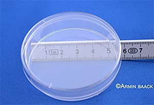 Petrischalen PS 60x14mm mit Nocken, produktionsrein(maschinensteril), VE=500 (50x10)Stck<p>Petri dishes 60x14mm with cam, production-clean (machine sterile), pack = 500 (50x10) pcs</p>Laborbedarf,Mikrobiologie,Petrischalen