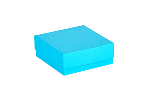 Kryobox 133x133mm, Pappe ohne Rastereinsatz H = 50 mm mit wasserabweisender Standardbeschichtung (WS) oder wasserfester Kunststoffbeschichtung (KB)