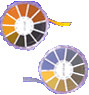 BAA21690010