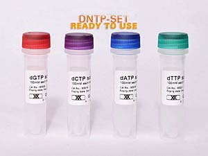 PCR dNTP-Mix (Na-salz) - 10 mM , Hochreine dNTPs (>99%) als fertiger Mix fr die qPCR, Standard PCR oder RT-PCRs und Klenowreaktionen, Menge: 1ml</p>dNTP Mix (Na salt) - 10mM , Deoxynucleotide (dNTP) Solution Mix as an equimolar solution of ultrapure, HPLC purified (>99%) dATP, dCTP, dGTP and dTTP for qPCR, RT-PCR, standard PCR, and Klenow reactions, amount: 1ml</p>Laborbedarf,Molekularbiologie,dNTP-Mix
