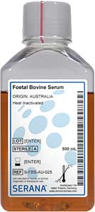 Fetales Klberserum (Herkunft Australien), Hitze inaktiviert, 500ml</p>Foetal Bovine Serum, Collected in Australia,  Heat Inactivated, 500ml</p>Zellkulturmedien,fetales Klberserum, gesammelt in Australien