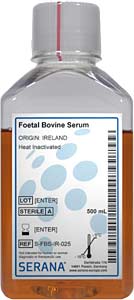 Fetales Klberserum (Herkunft Irland), Hitze inaktiviert, 500ml</p>Foetal Bovine Serum, Collected in Irland,  Heat Inactivated, 500ml</p>Zellkulturmedien,fetales Klberserum, gesammelt in Australien