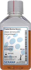 Fetales Klberserum (Herkunft Niederlande), Aktivkohle  filtriert, 500ml</p>Foetal Bovine Serum, Collected in Netherlands, Charcoal Stripped, 500ml</p>Zellkulturmedien,fetales Klberserum, gesammelt in Australien